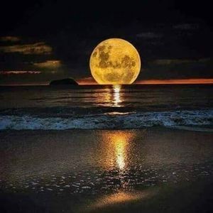 Meet your Posher, Irving